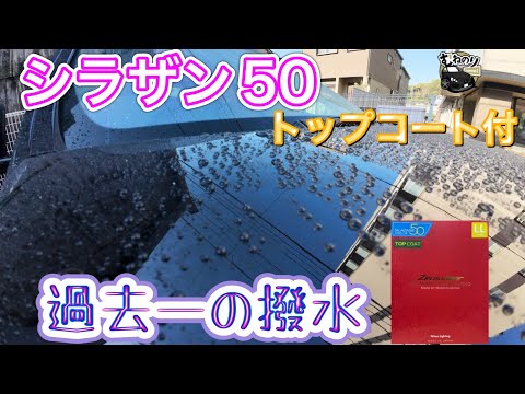 【過去一】シラザン50 今まで使った中で一番良い　効果高くて手間少ない