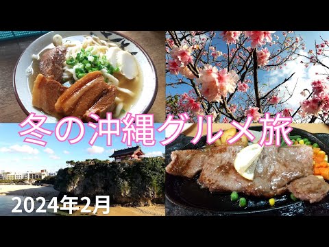 【沖縄Vlog】桜満開！冬の沖縄グルメ旅/波の上ビーチ/今帰仁城/福州園