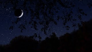 Breezy Autumn Night | Binaural Nighttime Fall Ambience | 10 Hours | Nature Sleep Sounds