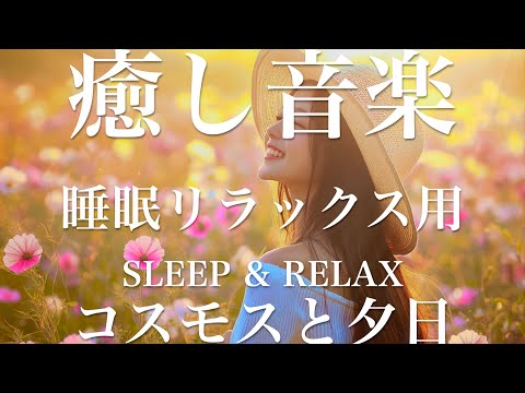 コスモスと夕日【睡眠用リラックスBGM】sleep relax 瞑想 ヨガ 集中力 疲労回復に効く  寝る前に聴くと超熟睡できる 朝の目覚めスッキリ 勉強に集中 疲れを取る 快眠 読書 癒し音楽 座禅