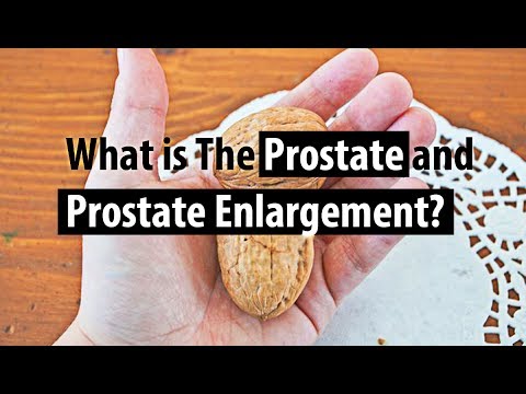 What is The Prostate and Prostate Enlargement? - Dr. Nicholas Laryngakis