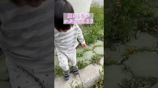 実は可愛いのに危険な花 #子供のいる暮らし #子育て #育児 #花 #危険