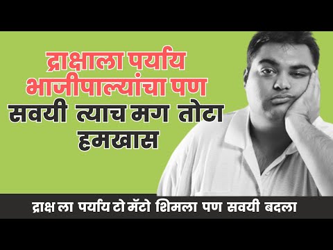 भाजीपाला शेती ठरेल द्राक्षला पर्याय | कशी करायची भाजीपाला शेती