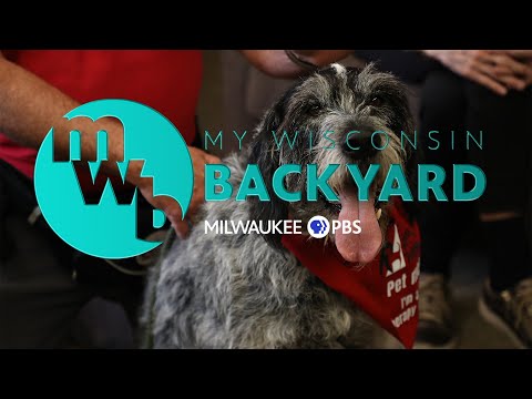 My Wisconsin Backyard | Web Series | Animal Assisted Interactions