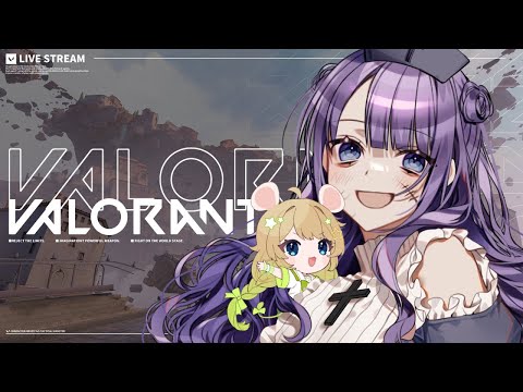 【シル２ゆか】Valorantこんぺする　w/外科ツキカ【Vtuber】＃むぎ生放送チュー