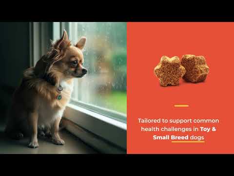 NaturVet Breed Specific Toy & Small Breed Dogs