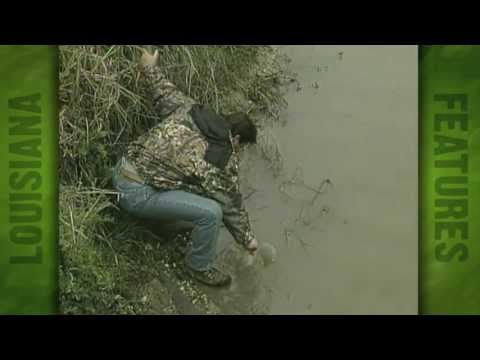 Saltwater intrustion in Vermilion Parish (1999)