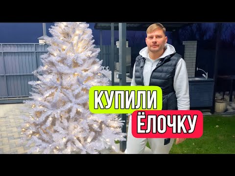 ВЛОГ Старую ЁЛОЧКУ продали и КУПИЛИ НОВУЮ ЁЛКУ🎄НА НОВЫЙ ГОД 🎅 ! У Алисы пижамная вечеринка в школе !