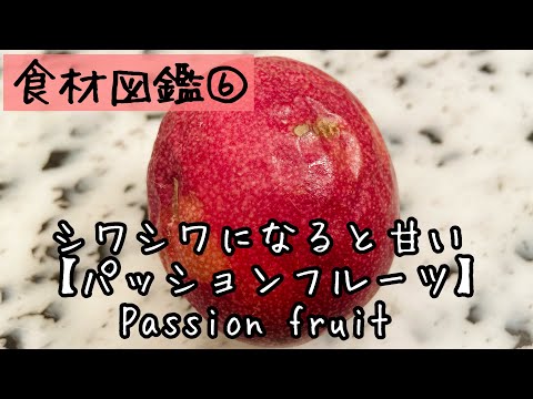 【食材図鑑】６.シワシワになると甘い！パッションフルーツの食べ方　Passion fruit/fruit de la passion  #shorts