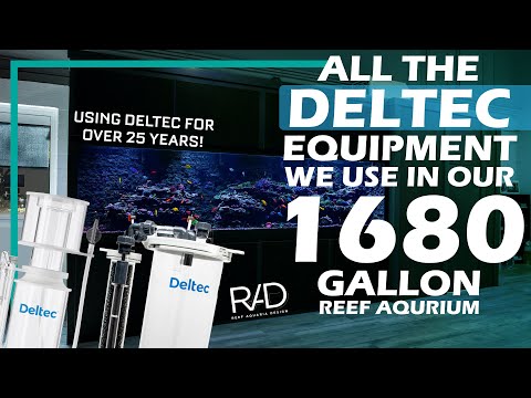 NEW GEM TANG! AND A RUNDOWN OF THE BEST EQUIPMENT WE USE IN OUR AQUARIUM SYSTEMS. FROM DELTEC USA