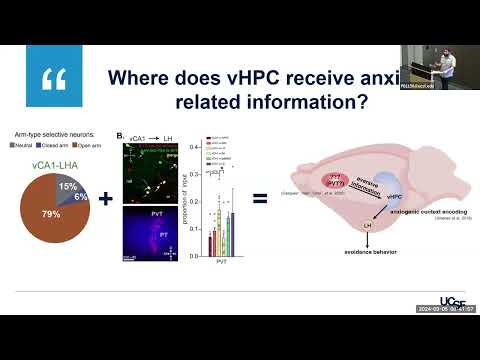 A Thalamic-Ventral Hippocampal Circuit That Supports Anxiety-Related Behavior