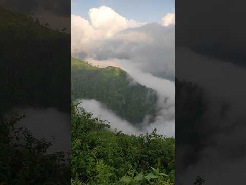 Clouds ☁️ Travel (Aaj M Uper Asman Niche) 🤣 #clouds #mountains #nature #uttarakhand #trees #sky