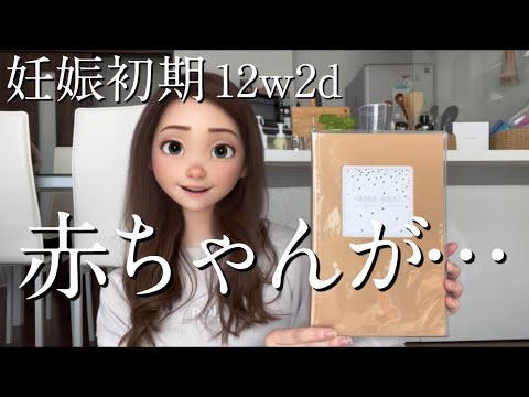 【妊娠初期】12w2d 小さな小さな命を絶対に守りきってみせる。