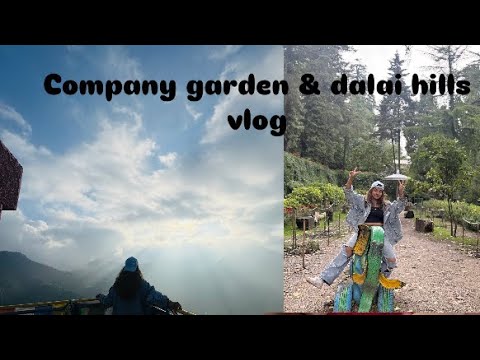 Dalai hills jate jate band baj gyi . Dekho kitna chalna padha humme 🥹🥹 exploring dalai hills