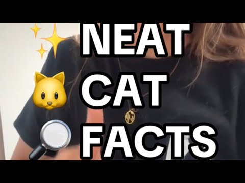 Neat Cat Facts ~ More Genetics!