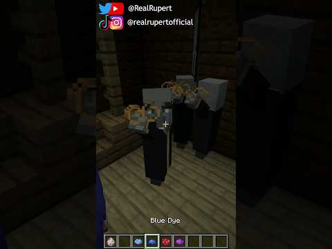 The Evoker has a SECRET in Minecraft!