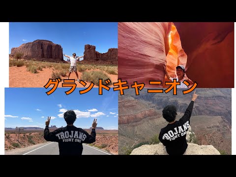 [絶景]Grand Canyon はとんでないパワースポットだった件#ロードトリップ#アメリカ留学 #大学院留学 #usc