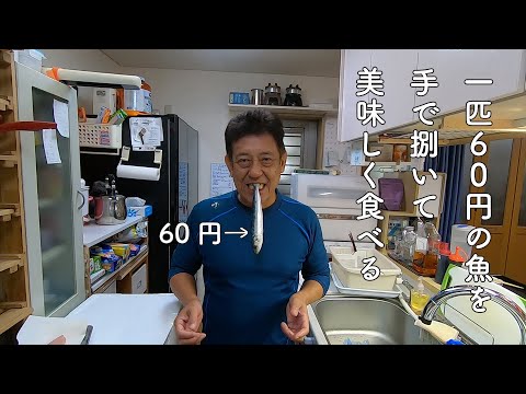 一匹60円なのにバカうまな魚を手捌きで美味しく食べる