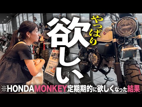 【もう限界】やっぱりモンキーが欲しい！ │ HONDA Monkey【モトブログ】