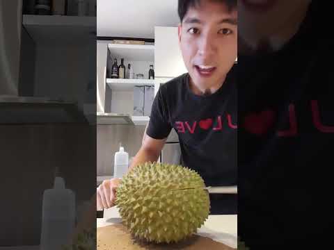 Make Monday Your Durian!