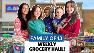 New 2025 Finds! Family of 13 Weekly ALDI Grocery Haul + Budget Tips