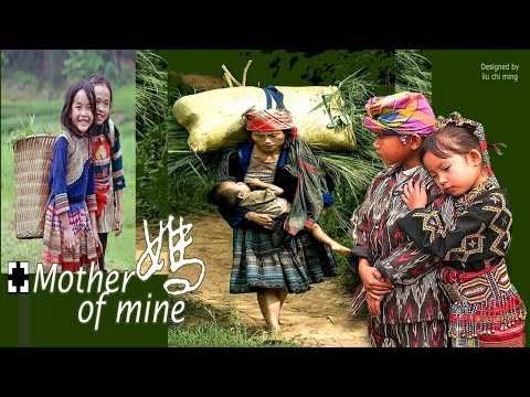 我的母親你給了我一生最幸福的   Mother of mine