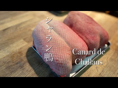 シャラン鴨を捌く！！フランス最高峰の鴨[ ＊グロ注意です＊血が苦手な方はご遠慮下さい＊]How to butcher a Challans Duck[ ENG SUB]