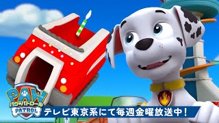 パウ・パトロール | パウ・パトロールのおいしいケーキと救助活動！🎂 マーシャルと一緒 | 10分間 | テレビ東京系にて放送中