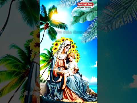 Tamil Catholic Status song-Tamil Catholic Status song (வானிலே தேனிலா) - 18.11.2024)