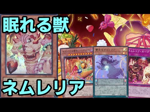 【#遊戯王】星１０獣が追加され選択肢増加！裏側除外でどんどん有利になる『ネムレリア』紹介します！