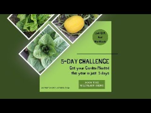 6 Day - Get Your Garden Planted Challenge - Coming April 24, 2024 - Join the Waitlist