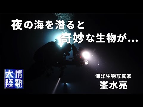 夜の海で、不思議な生物と出会った。海洋生物写真家 峯水亮