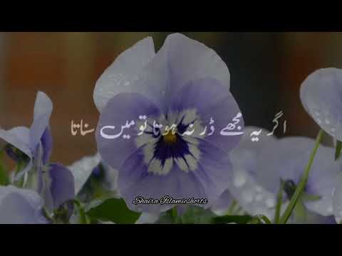 Huzoor 'ﷺ' Farmane Lage 🥀 | Islamic WhatsApp Status |