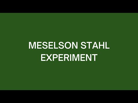 Meselson Stahl Experiment