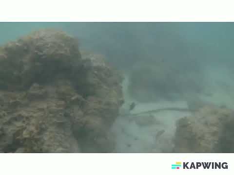 タイ　クート島　ドゥシッタ・リゾート前の海