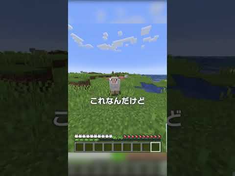 【1.22】なにかしら変わったぽいけどよくわからん【マイクラ豆知識 解説 裏技】