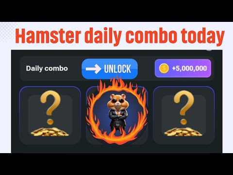 hamster daily combo cards Today