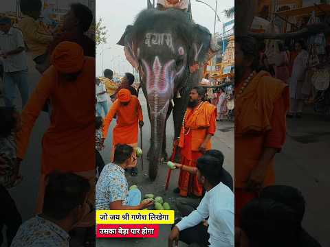 deva shri ganesha | #elephant #hathiraja #ganesh #mahakaal #ujjain