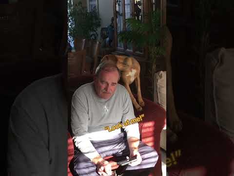 Man Tells Story While Dog Continuously Licks Him