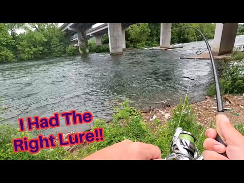 Fast Current had the Fish on the Bank