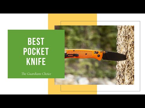 10 Best Pocket Knives to Carry Every Day | The Guardians Choice