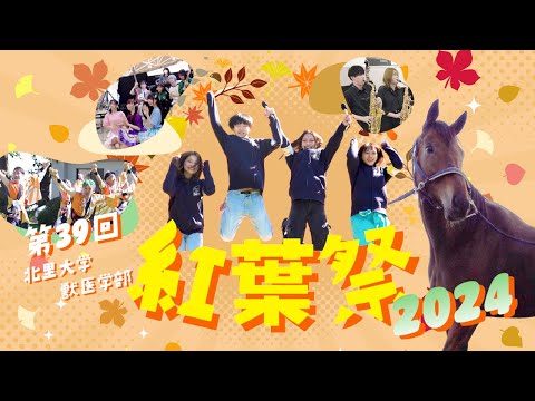 北里大学獣医学部 第39回 紅葉祭2024