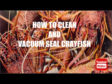 How to Clean and Vacuum Seal Crayfish