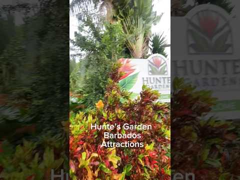 Hunte’s Garden Barbados Attractions #barbados #market #grocery #tourist #bgi #huntesgarden #garden