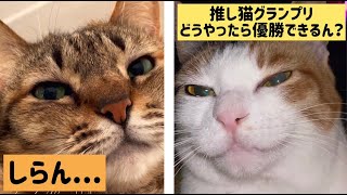 推し猫グランプリ2023と電源ポータブル抽選会