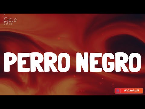 Bad Bunny - PERRO NEGRO (Lyrics/Letra)