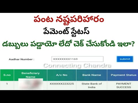 panta nastam in ap status 2024 || panta nastam payment status 2024 |panta nastam 2024 status in ap