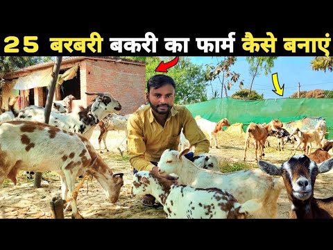 बकरी पालन में सफलता का राज हरा चारा | how to make goat farm | Barbari goat farm