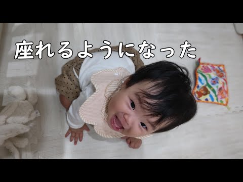 自力で座れるようになった0歳児【240Days】