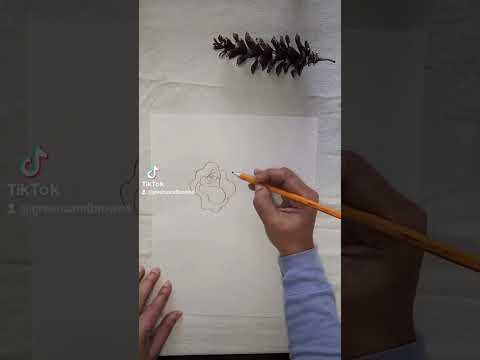 An easy Rose sketch tutorial